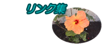 �����N�W